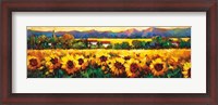 Framed Sweeping Fields of Sunflowers