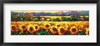 Framed Sweeping Fields of Sunflowers