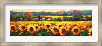 Framed Sweeping Fields of Sunflowers