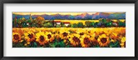 Framed Sweeping Fields of Sunflowers