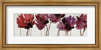 Framed Blushing Blooms