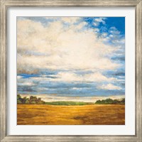 Framed Tranquil Meadow