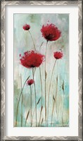 Framed Splash Poppies I