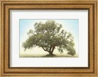 Framed Oak & Blue Sky