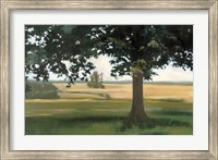 Framed Hidden Pasture