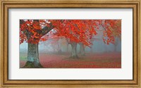 Framed Arboles Rojos