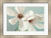 Framed Magnolias