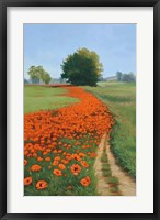 Framed Poppy Field