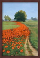 Framed Poppy Field