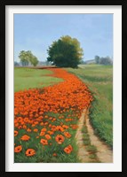 Framed Poppy Field