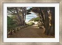 Framed Big Sur