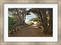 Framed Big Sur