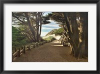 Framed Big Sur