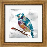 Framed Blue Jay