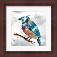 Framed Blue Jay