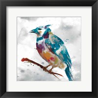 Framed Blue Jay