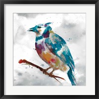 Framed Blue Jay