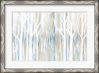 Framed Mystical Woods