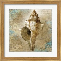 Framed Aquatic Allure