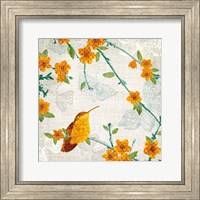 Framed Birds and Butterflies III