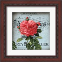 Framed Petite Rose I