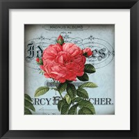 Framed Petite Rose I