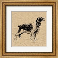 Framed Spaniel