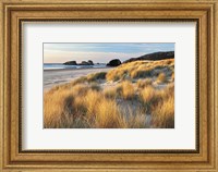 Framed Dune Grass And Beach