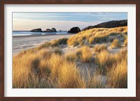Framed Dune Grass And Beach