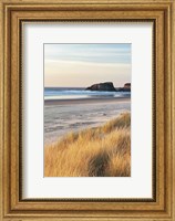 Framed Dune Grass And Beach I