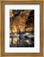 Framed Central Park Glow III