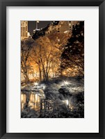 Central Park Glow III Framed Print
