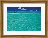 Framed Turtle Crossing