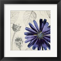 A Touch of Color III Framed Print