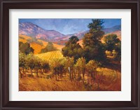 Framed Southern Vineyard Hills