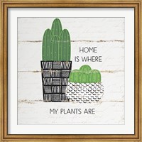 Framed Home is Where My Plants Are
