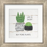 Framed Life is Short, Buy More Plants