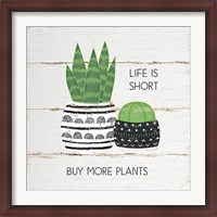 Framed Life is Short, Buy More Plants