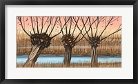 Framed Trees and Reeds