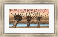 Framed Trees and Reeds