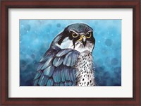 Framed Falcon