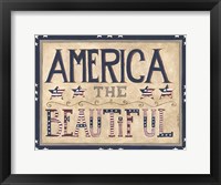 Framed America the Beautiful