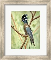 Framed Bird on Branch