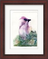 Framed Purple Bird