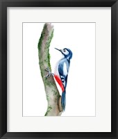 Framed Woodpecker