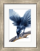 Framed Crow