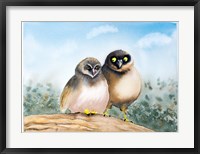 Framed Owls