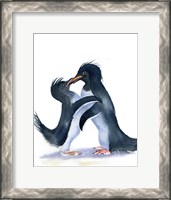 Framed Penguins