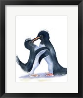 Framed Penguins