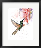 Framed Hummingbird II